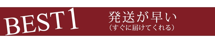 ベスト1発送が早い