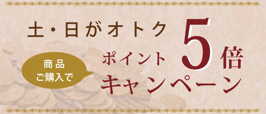 ポイント5倍