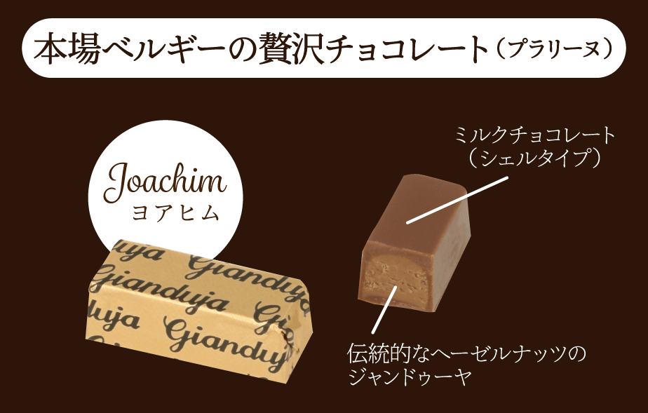 プレゼントイメージ