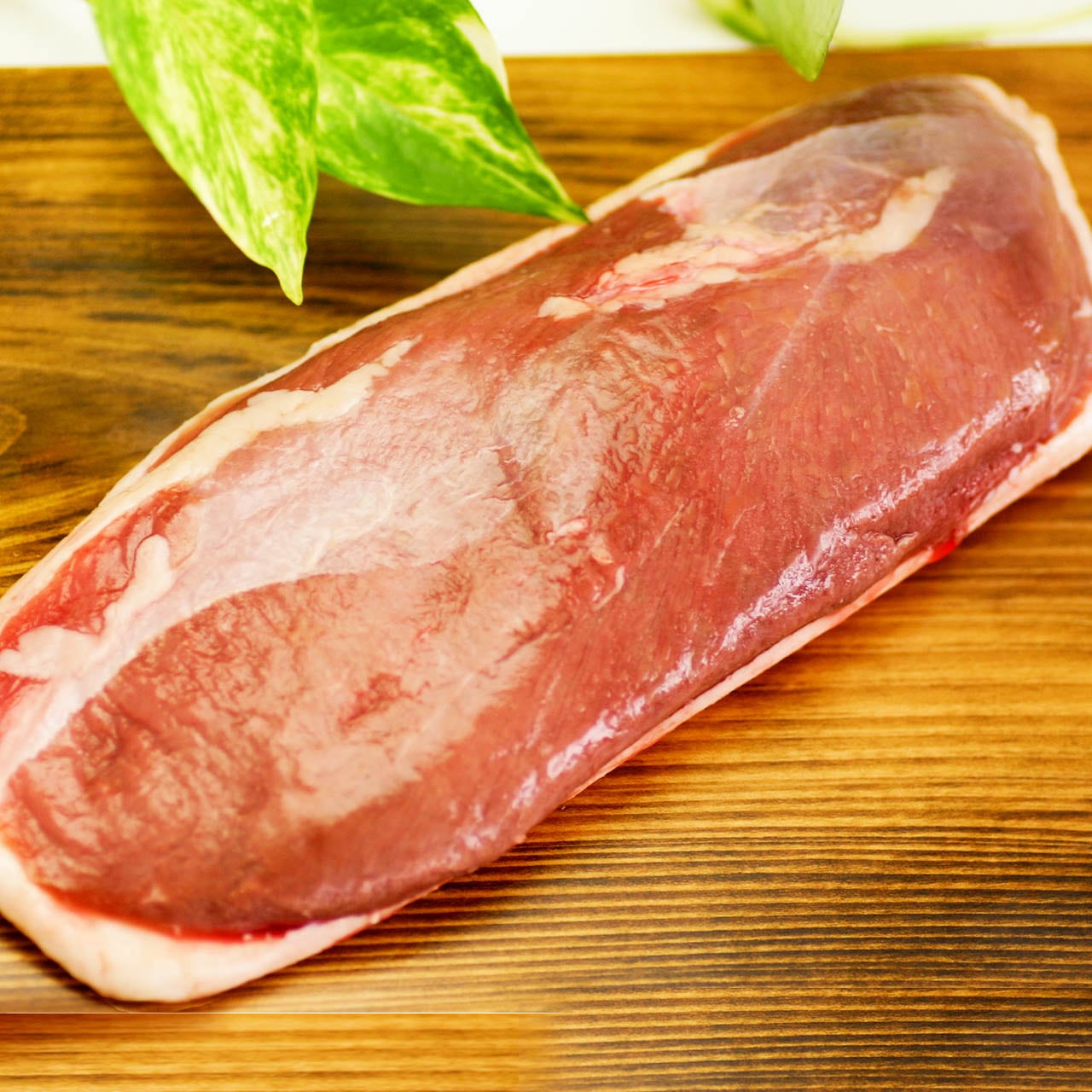 【限定入荷】ペリゴール産 マグレ ド カナール IGP（鴨むね肉） M