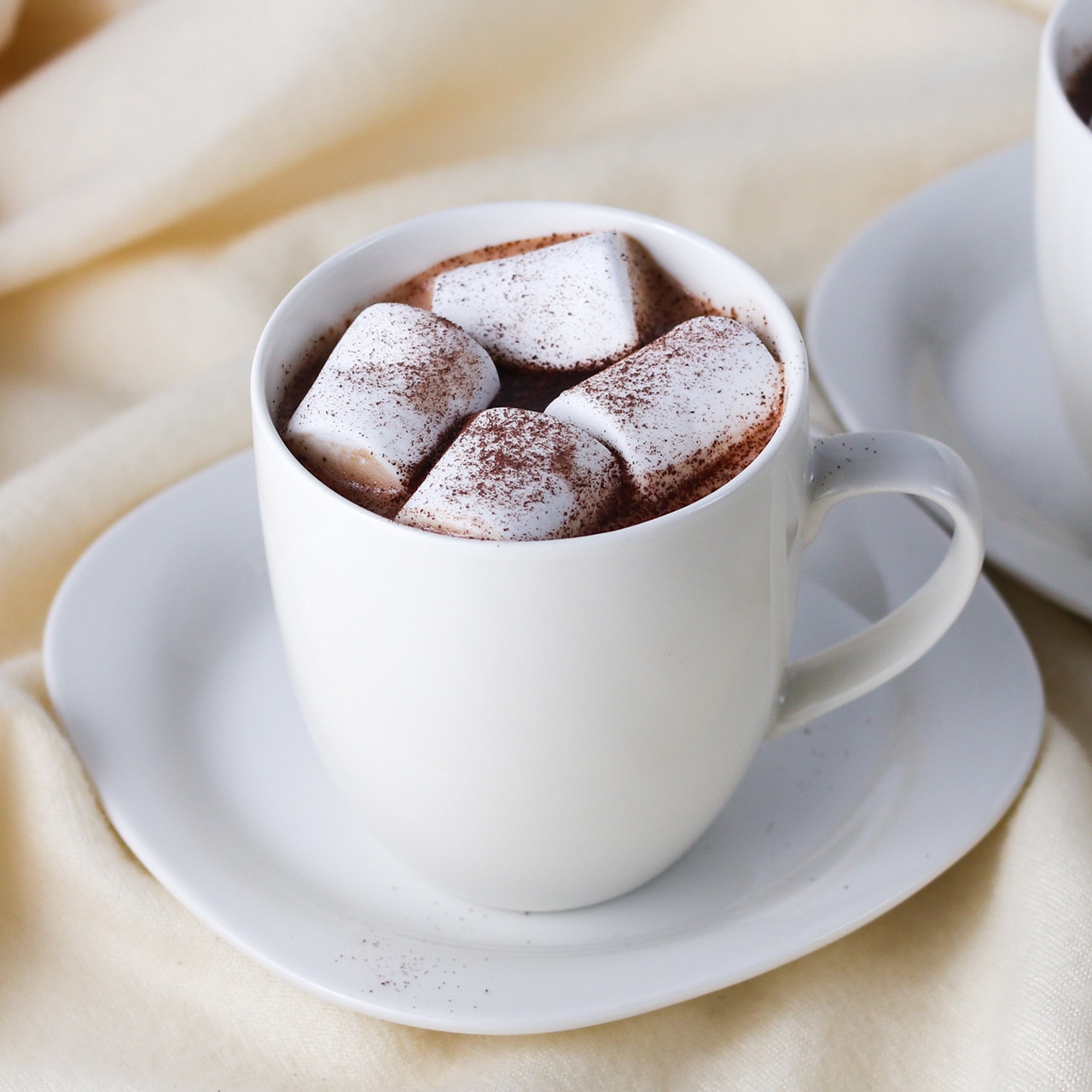 ココア専門メーカーのこだわりココア（スプレードライ製法） 250g