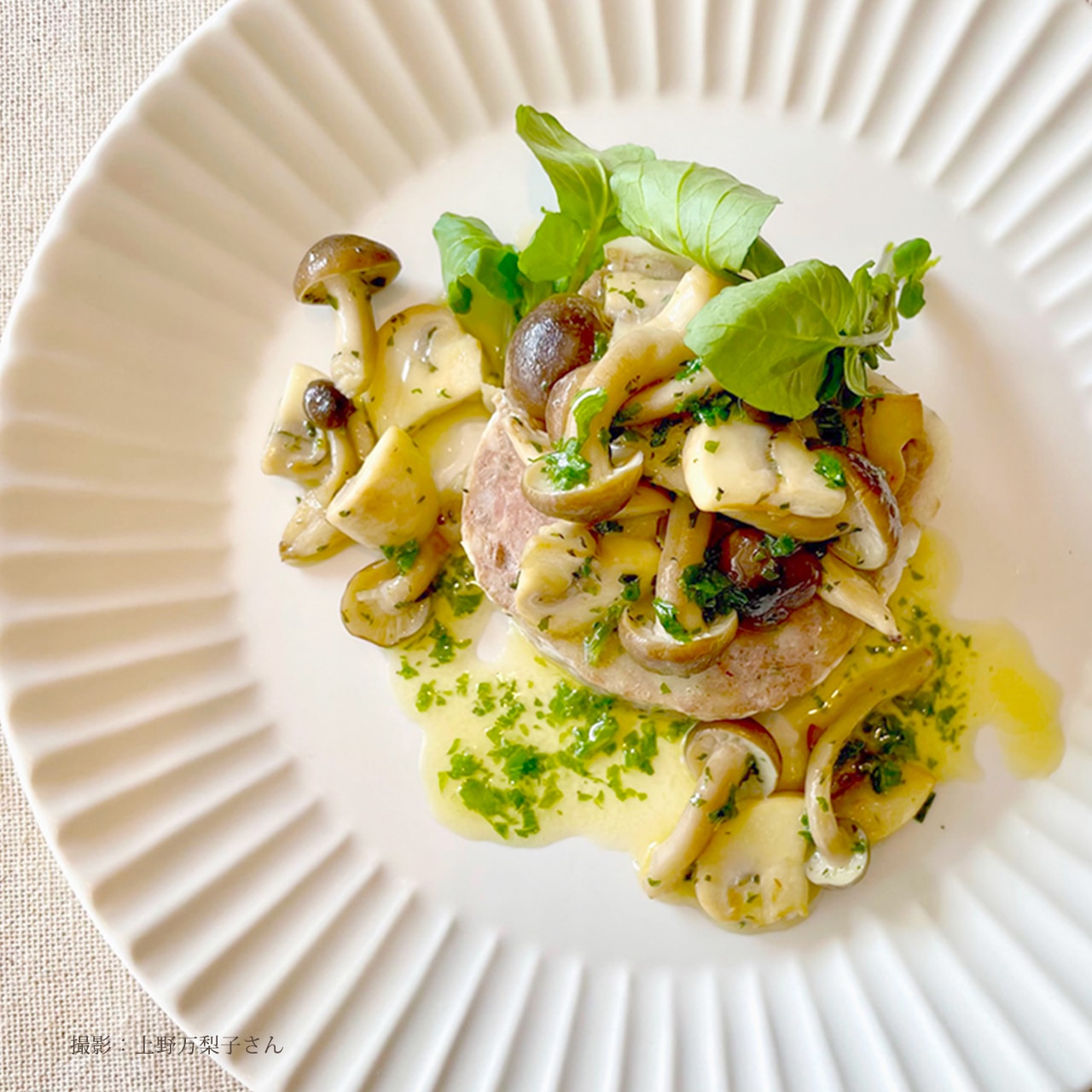 【送料無料】贅沢なアペロを楽しむ特別セット（書籍付き）