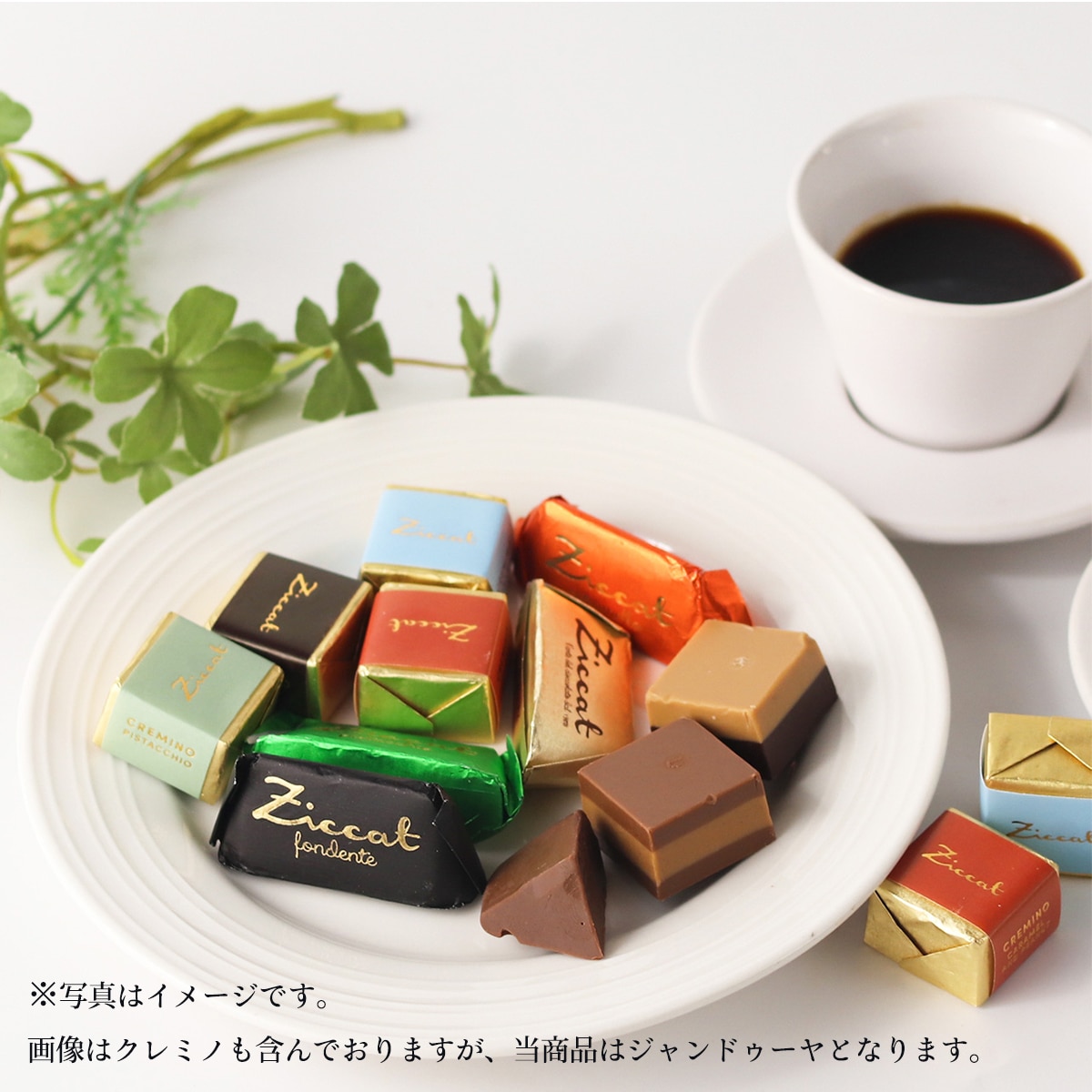 美食の街トリノの贅沢ジャンドゥーヤ(チョコレート)4種×10個