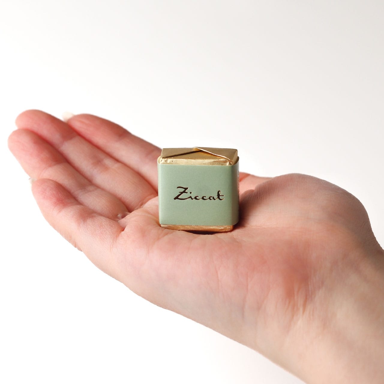 美食の街トリノの贅沢な層がとろけるクレミノ（チョコレート）4種×10個