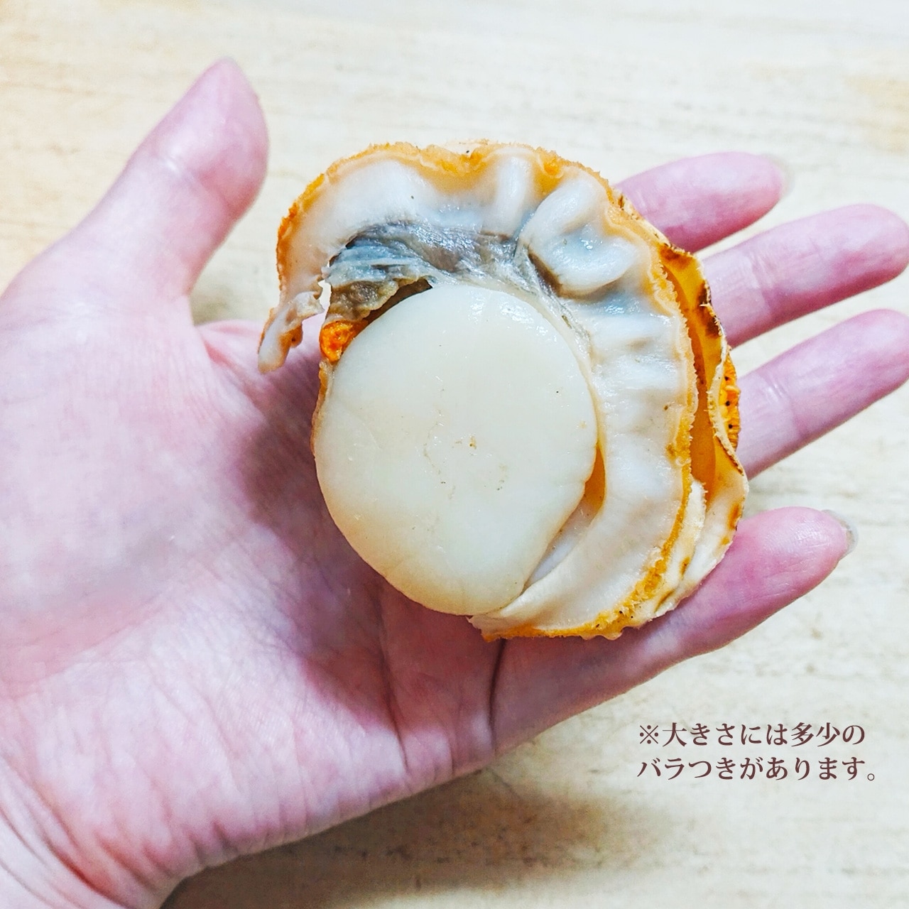 【５個入】 肉厚の旨味 大粒ほたて貝（青森産 黄金ほたて） Lサイズ