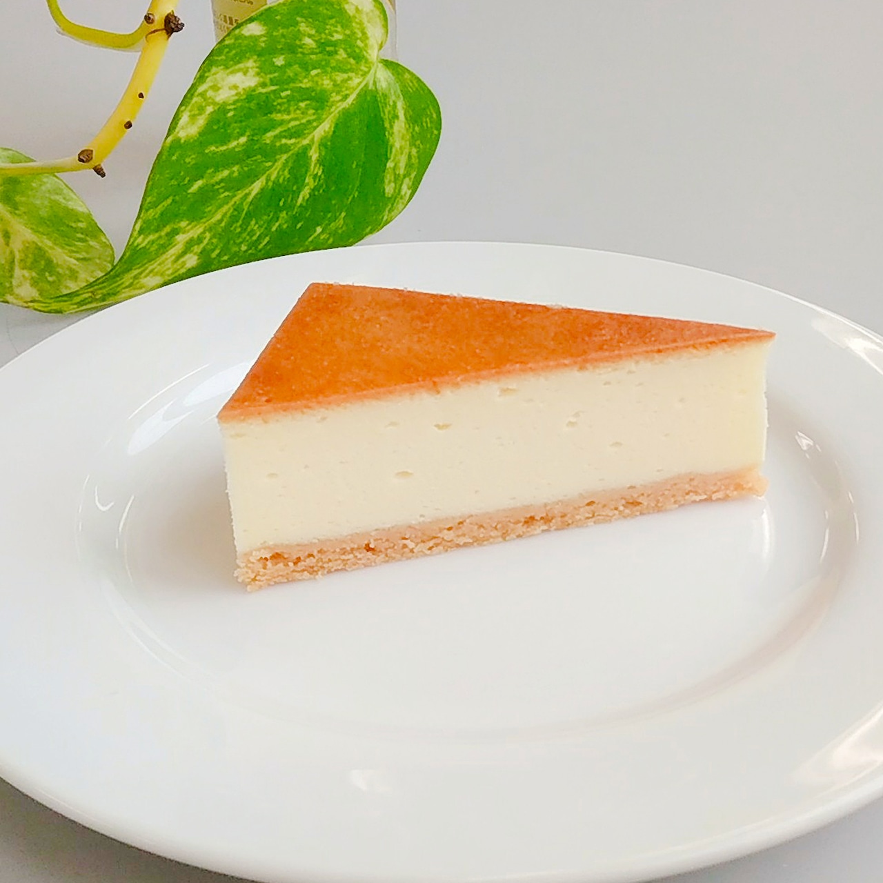 【在庫限り】北海道ピュア チーズケーキ ベイクドタイプ