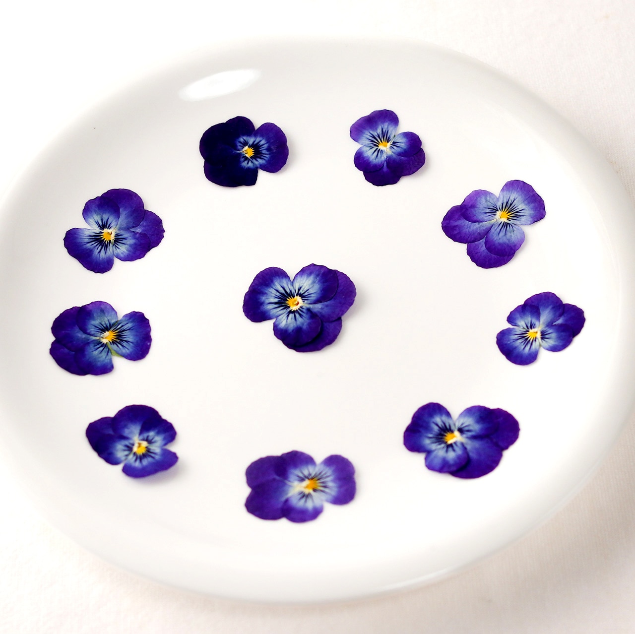 可憐な青いビオラ ドライエディブルフラワー（食用花・押し花）