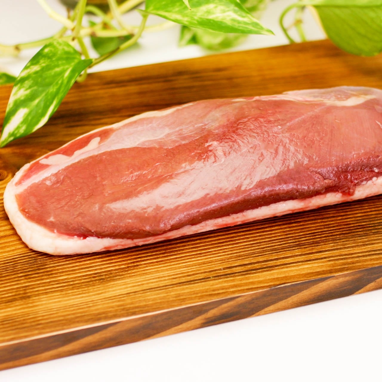 【訳あり】チェリバレー種 鴨むね肉