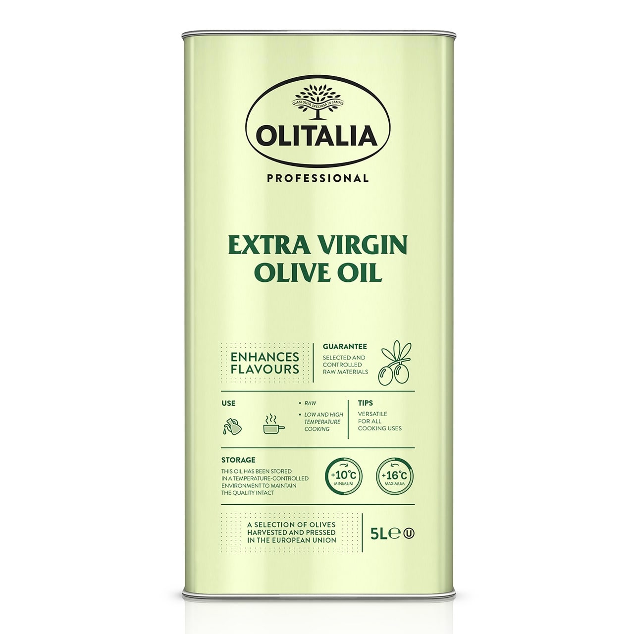 【訳あり】ＥＸバージンオリーブオイル　5Ｌ（トラディツィオナーレ）