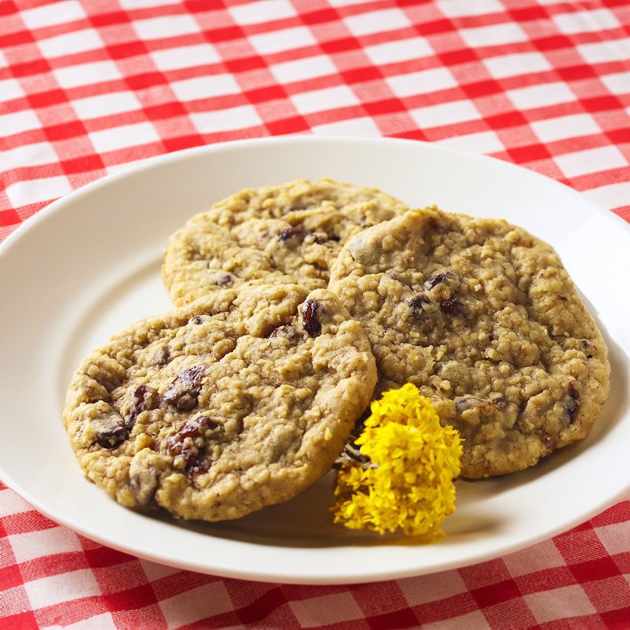 【お買い得・3枚】レーズンココア オートミール 焼くだけ ソフトクッキー生地