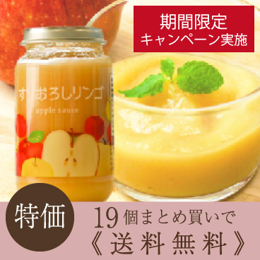 【送料無料・訳あり19個セット】なめらか食感のすりおろしリンゴ200g×19