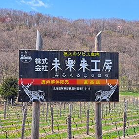 奥深し！鶴居村のエゾジカ