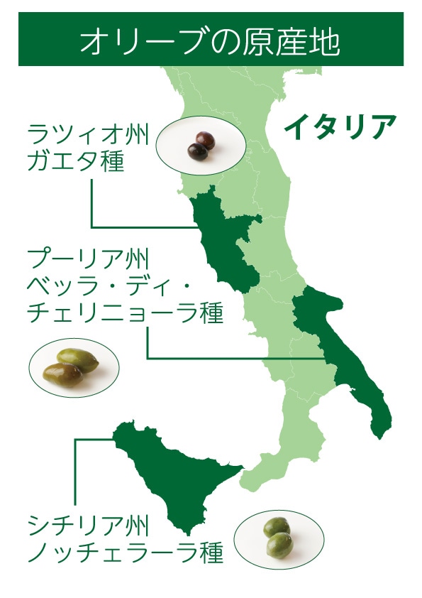 オリーブ